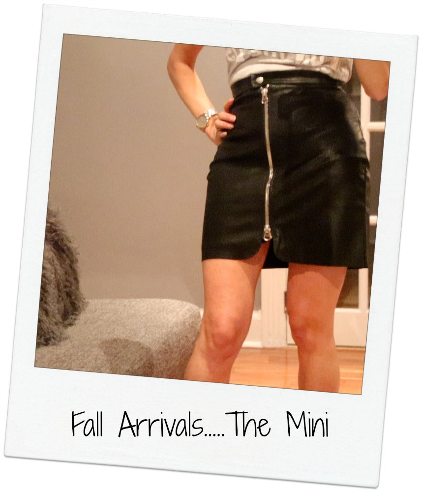 How To Style A Mini Skirt For Fall....